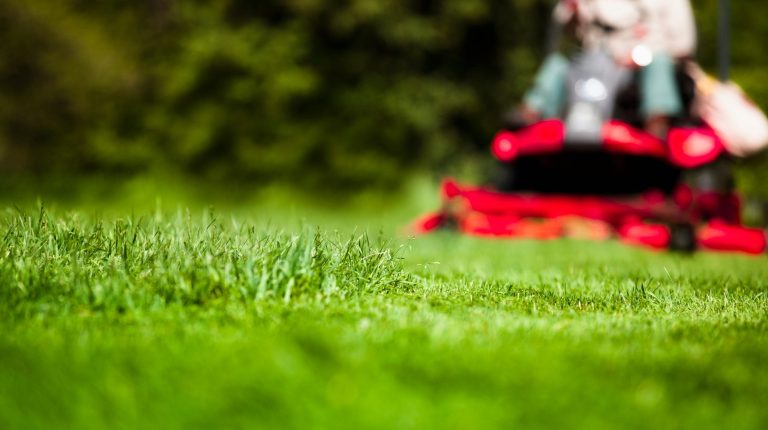 Transform Your Lawn: How Hawkins Company Can Revitalize Your Outdoor Space