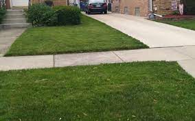 Top 5 Lawn Care Tips for a Greener, Healthier Yard with Hawkins Company