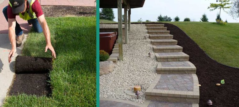 Seasonal Lawn Care Guide: What to Expect with Hawkins Company